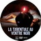 LA TARENTULE AU VENTRE NOIR